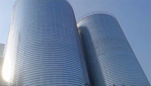 西安2座混凝土高架卷板仓